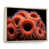 Natural Floater Framed