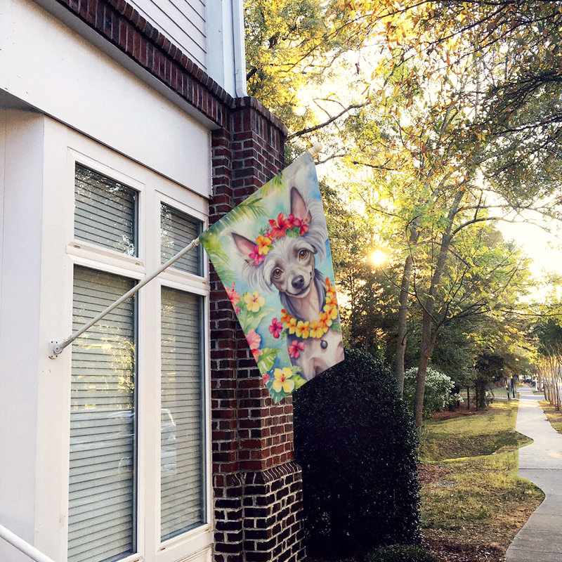 Drapeau pour animal à double face H 40 po x l 28 po