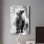 Yorkshire Highland - impression sur toile tendue-1624941079