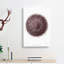Sea Urchin by Albert I - Wrapped Canvas Painting-55330558