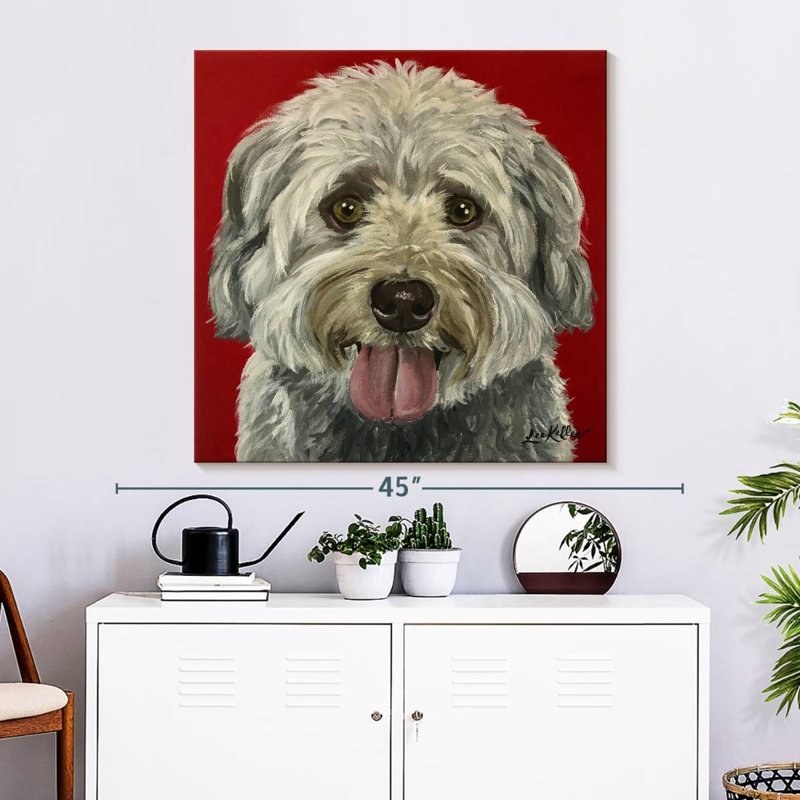 Crowle Havanese, 33" H x 33" W