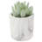 4.75'' Faux Succulent in Fake Marble Pot