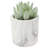 4.75 " H Faux Succulent