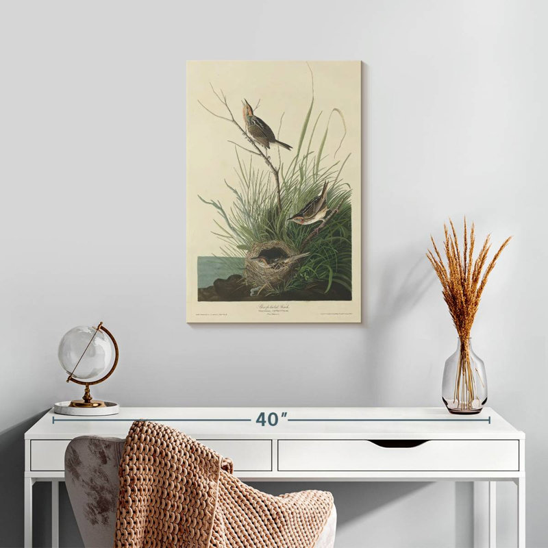 Keiri Sharp-Tailed Finch, 24" H x 16" W