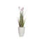 58,9 po plante