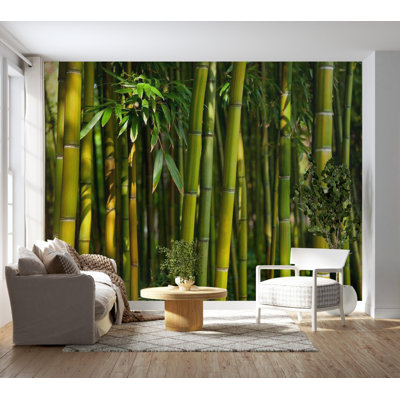 Bamboo Jungle Wall Mural