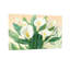Plantes et fleurs de lys blancs Calla avec feuilles vertes-400441737-400441742-400441736