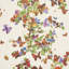 Pyne Butterfly Wallpaper
