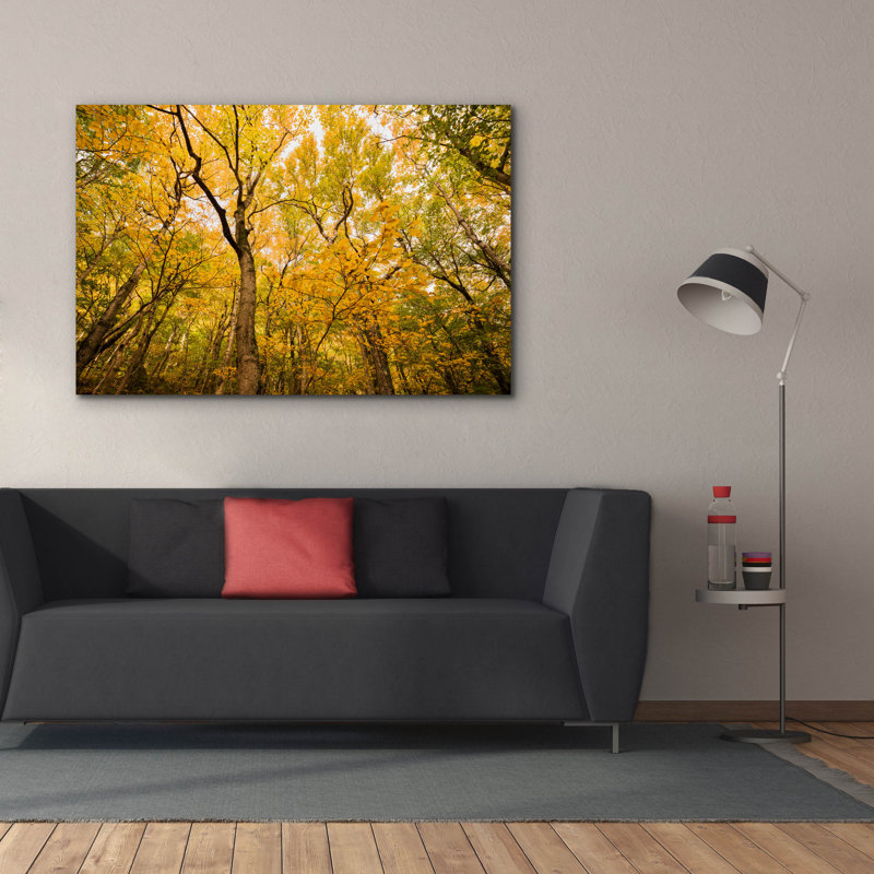 «Smugglers Notch» par Brandon Wong, art mural sur toile, H 40 po x l 60 po x P 1,5 po