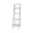 Killebrew Ladder Bookcase-517037191