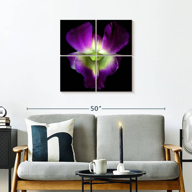 Orchidée Harnek Solo, H 26 po x l 26 po
