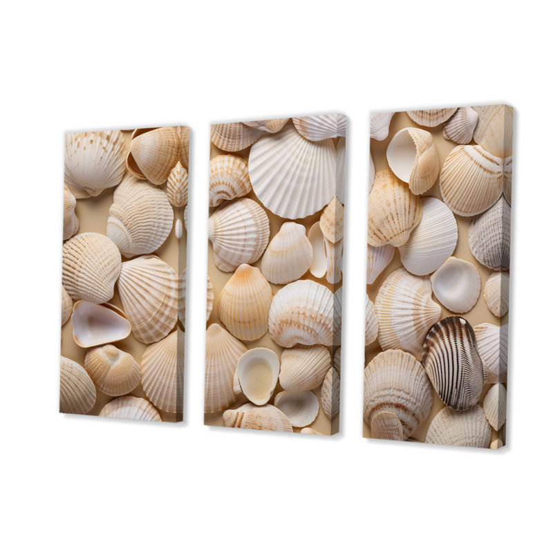 «Beige», reproduction de coquillage sur 3 pièces, H 28 po x l 36 po x P 1 po