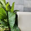 Pot à fleurs cubique H15 "intérieur / extérieur Kute Nest - noir tricorne - ouverture de pot 12"-1359979203-1359979200