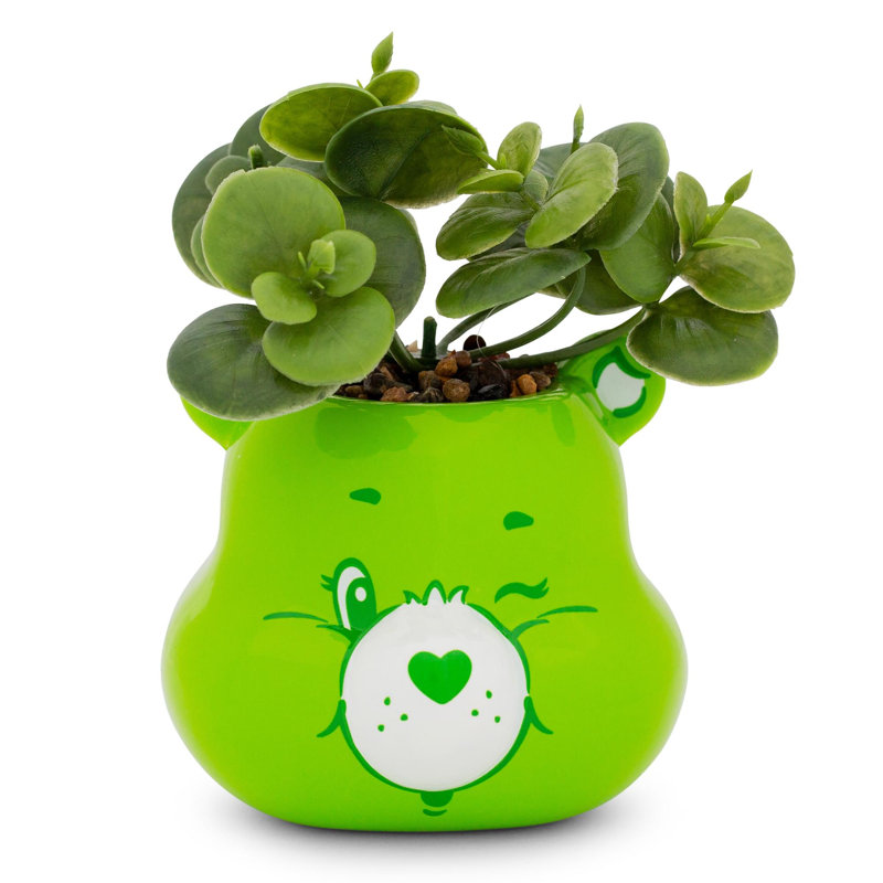 Mini pot à fleurs en céramique 5 pouces avec plantes succulentes Care Bears Good Luck Bear