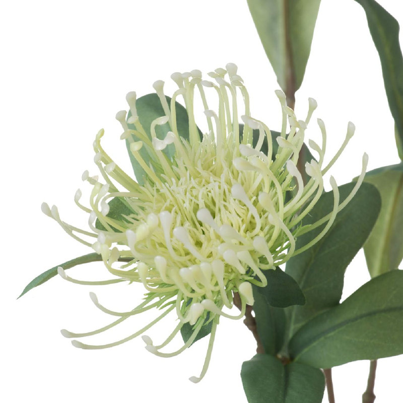 Protea Stem - ensemble de 6 - vert / crème