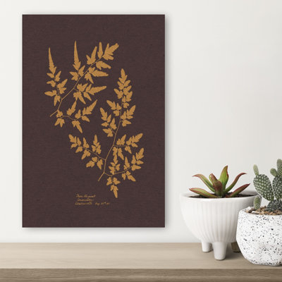 Print