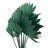 Forsyth Arrangement-1367698867