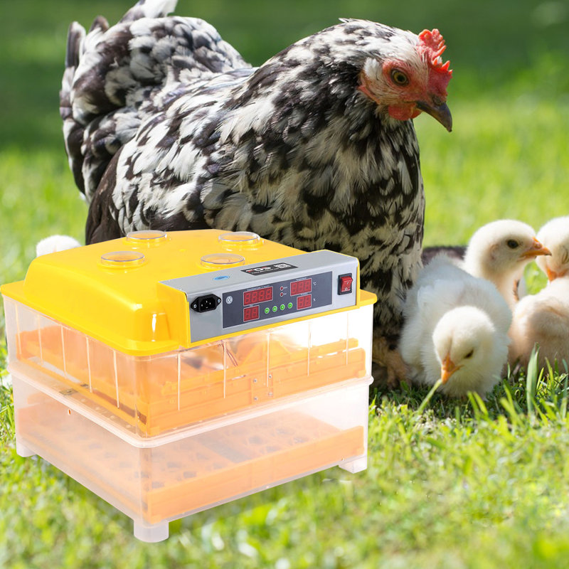 Symple Stuff Chasteen Egg Incubator