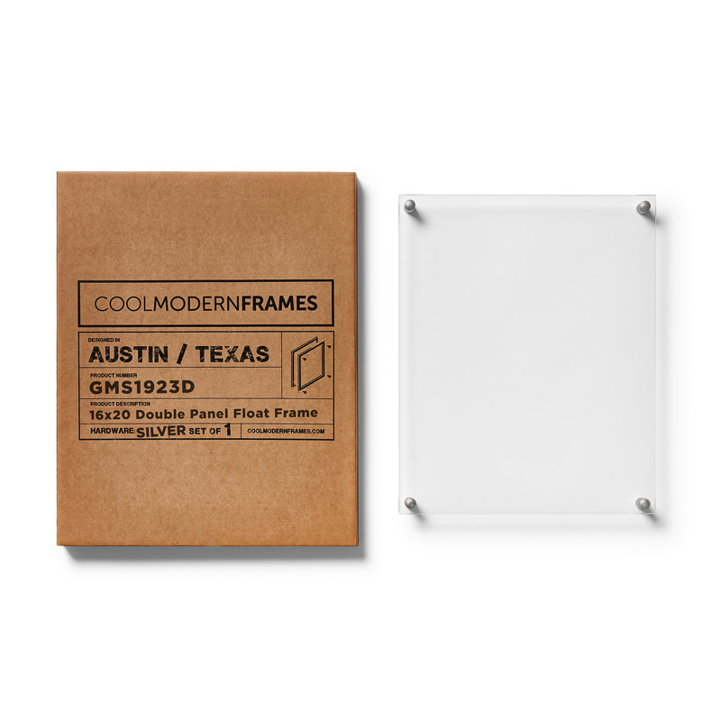 Devian Clear Acrylic Floating Picture Frame, 16" x 20", Silver