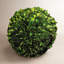 Preserved Greens Topiary, Hedge Plant in-1214296199