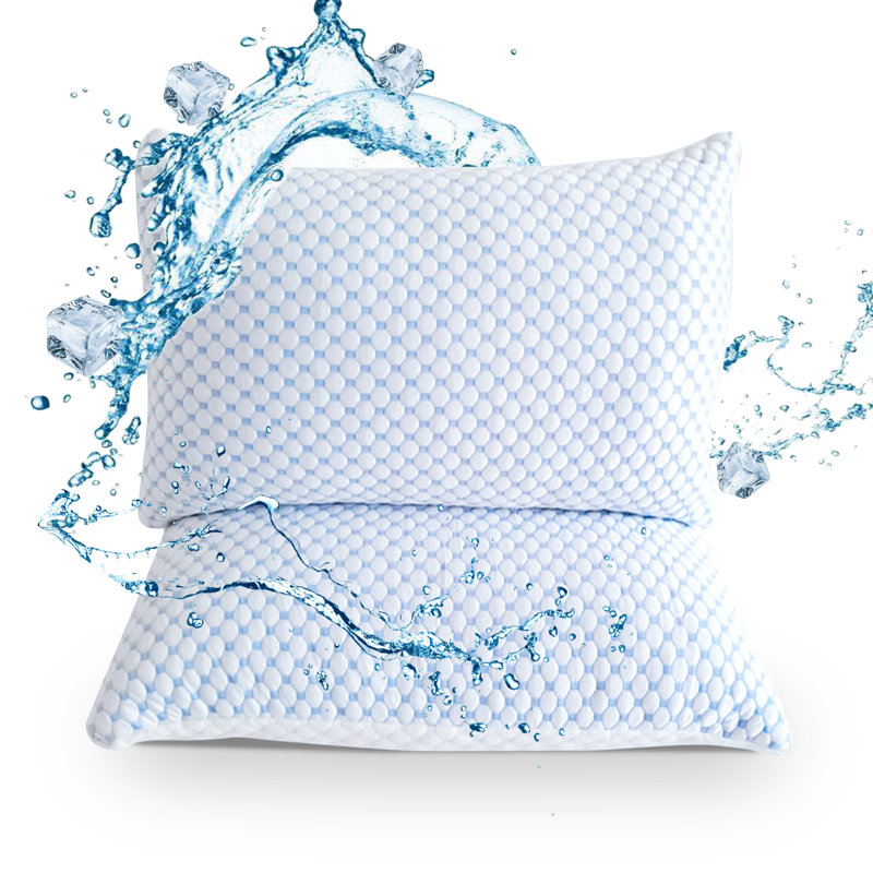 Ensemble de 2 coussins de soutien en mousse à mémoire de forme Ashlee, 20 po x 30 po