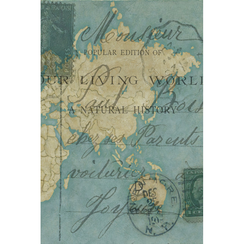 World Travels II 1 Piece Wrapped Canvas Wall Art, 30cm H x 20cm W x 3.8cm D