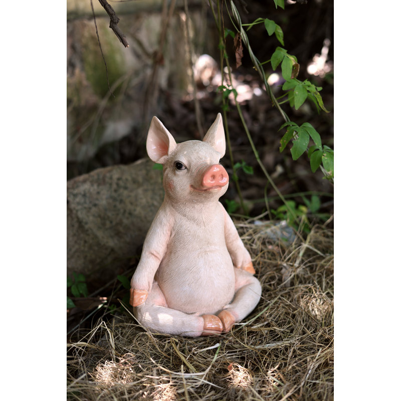 Cochon en méditation