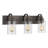Lareau 3 - Light Dimmable Vanity Light
