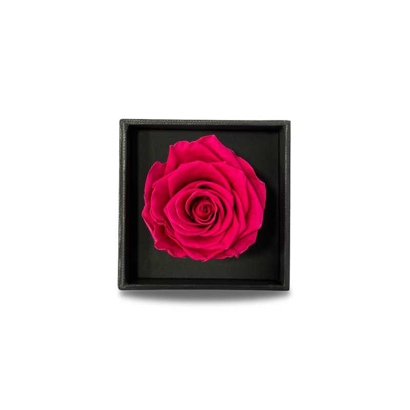 Rose Arrangement in Free-Standing, Rosy