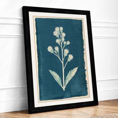 Specimen Study Botanical - Framed Print