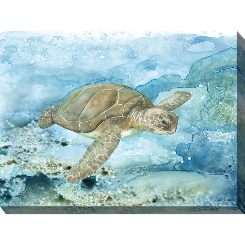 Art sur toile d'extérieur Sea Life Turtle