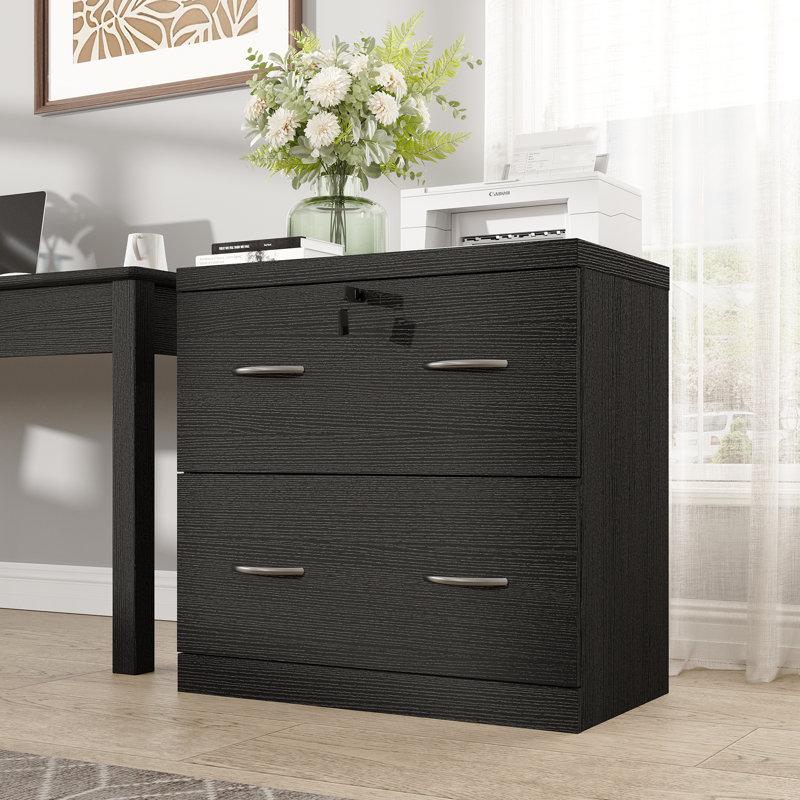 2-Drawer Wood File Cabinet With Lock, Lateral Filing Cabinet For Printer Stand, Black