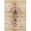 Scioli Oriental Area Rug-1112177131