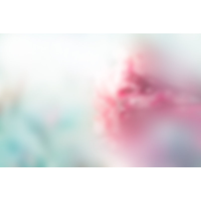 Abstrait pastel flou sur toile tendue, H 8 po x l 12 po