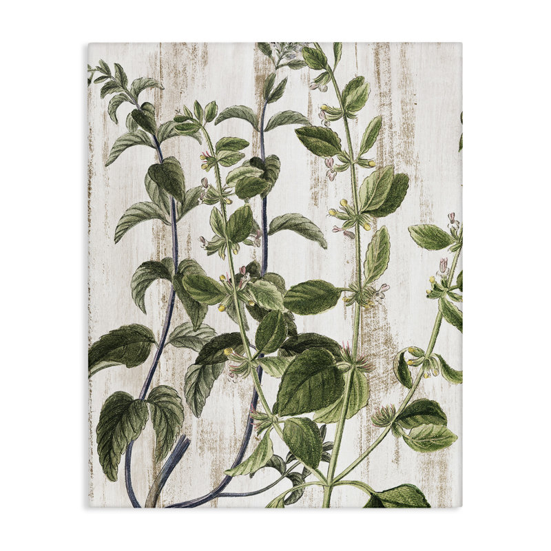 «Rustic Botanical Vines», art mural sur toile par Kim Allen, H 20 po x l 16 po