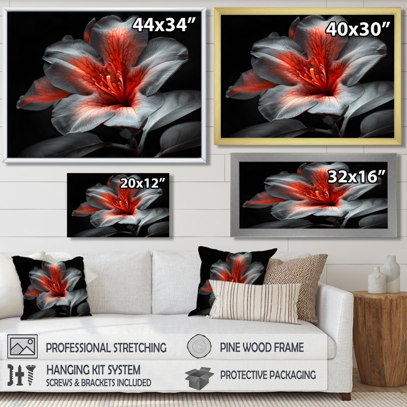 Rose noir et rhododendron Midnight Bloom III - impression d'art mural rhododendron, Cadre flottant noir, 16" H x 32" W