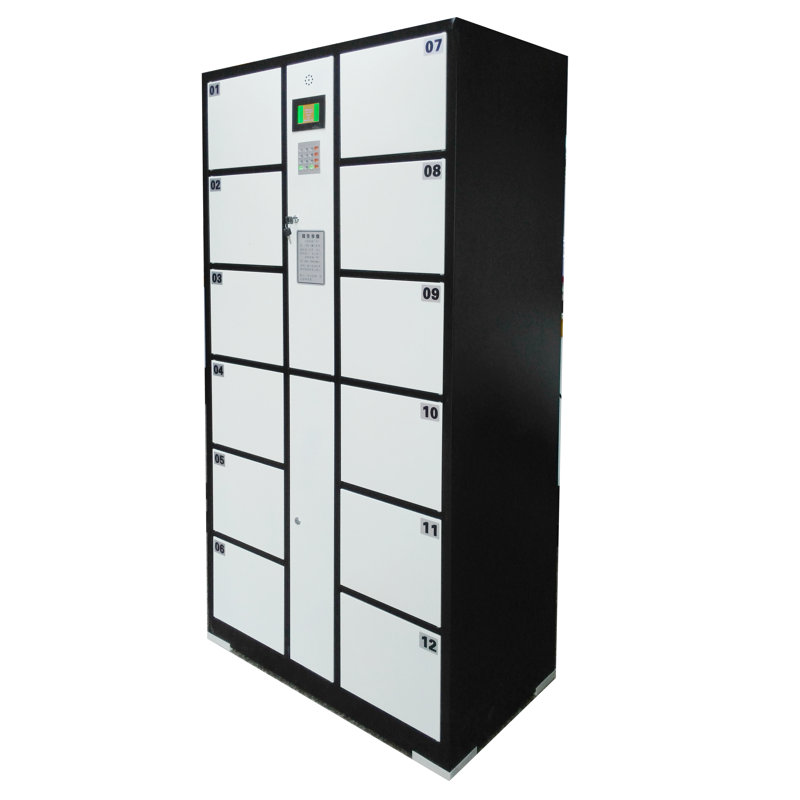 Metal Storage Locker Computer Control Smart Access Digital Lock Public Locker Private Locker Make to Order 3 Month Leadtime. Extra Duty TBD 18349