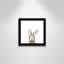 Art encadré en lapins forestières-48188934-48188939