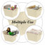 Panier de plastique-16393596-16393601-49405289