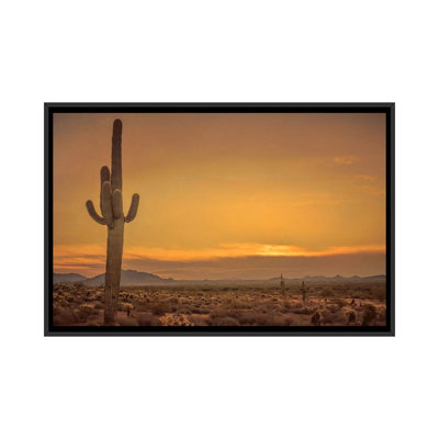 «Cactus Sunrise», reproduction de photo sur toile