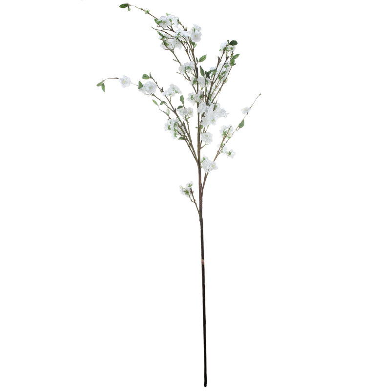 Arrangement