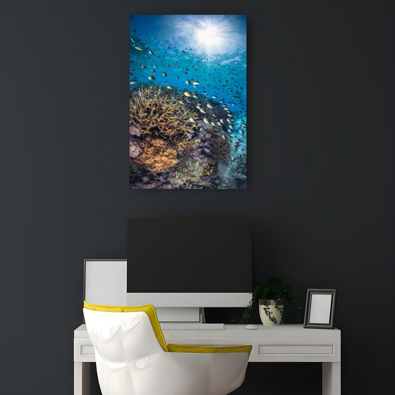 Sunlit Coral Reef Peaceful Serene Vibrant Fish Nature Ocean Wall Art Print 1 Piece Wrapped Canvas Wall Art