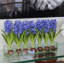 Centre de table Orchids-1442417779-1442417780