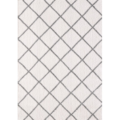 GREY/IVORY Area Rug
