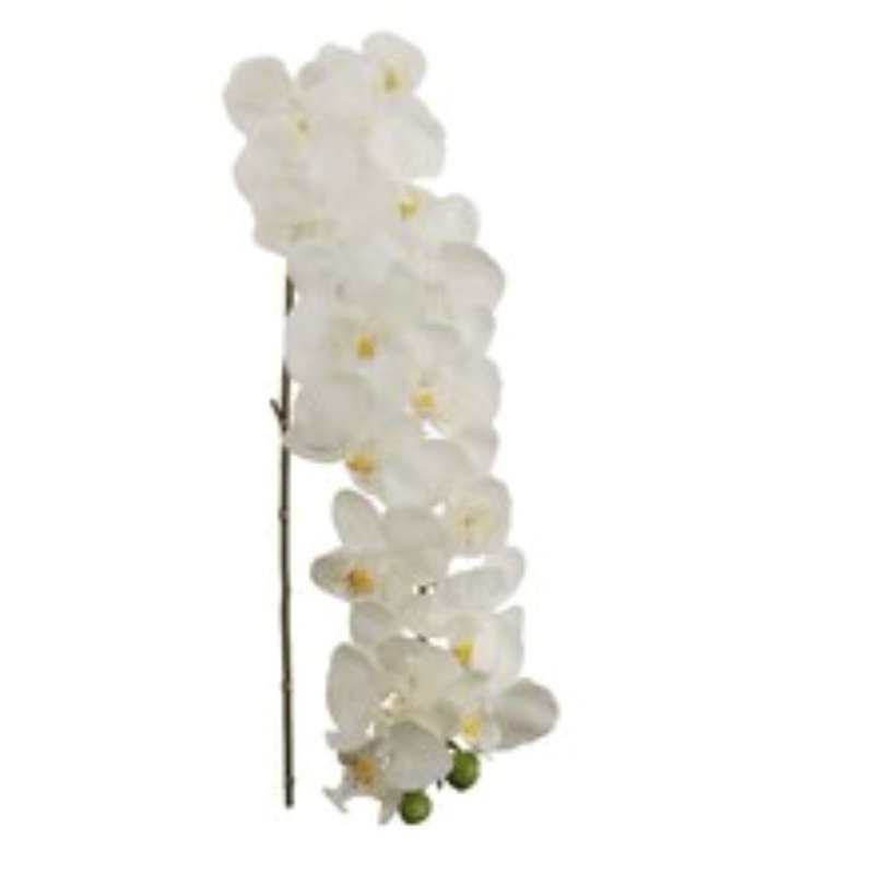 2 pièces tige d'orchidée phalaenopsis 49 "- Collection printemps 2025