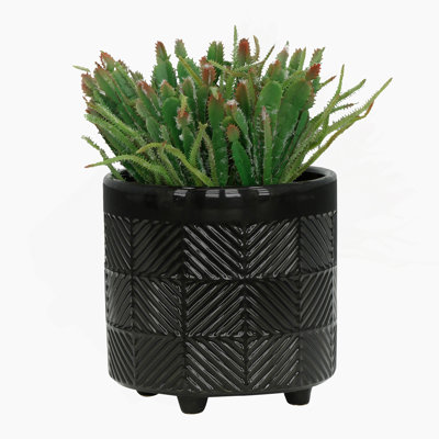 Versatile Ceramic Planters For All Settings, Enhancing Your Greenery