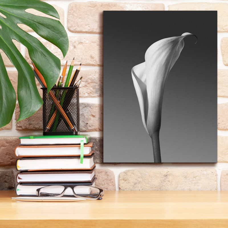 «Calla No. 4» par Photoinc Studio, art mural sur toile, 18 po x 26 po, H 16 po x l 12 po x P 0,75 po