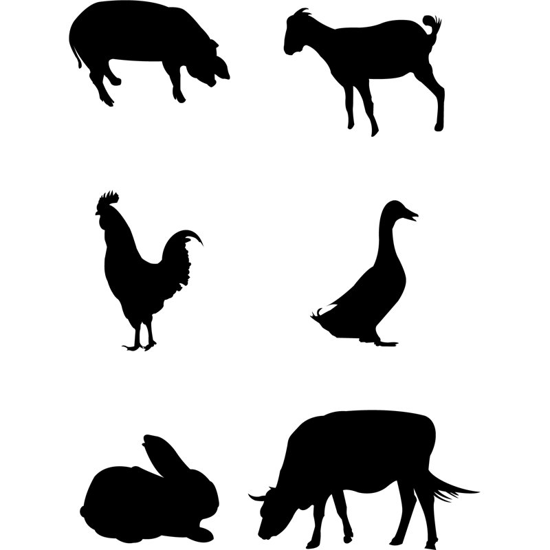 Animals Wall Decal