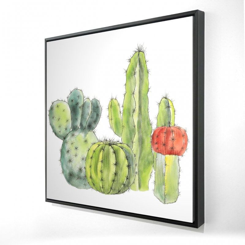 «Rassemblement de petits cactus»