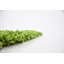 Tapis vert Torun-792322484-715440270